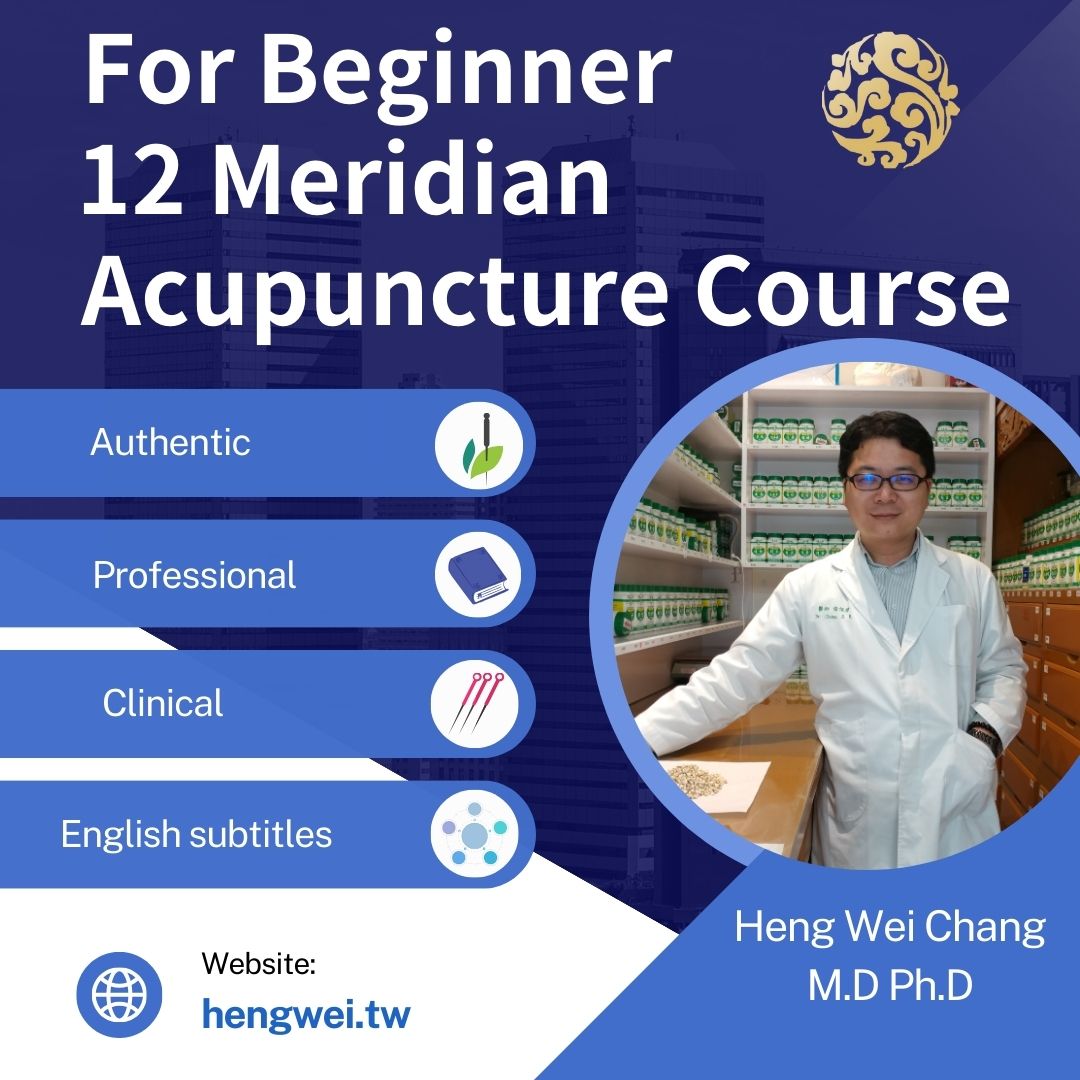 Acupuncture 12 Meridian Courses for Biginners 恆元堂中醫學院
